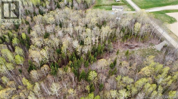 Property Photo:  Lot McKeaghan Road  NB E7K 1H1 