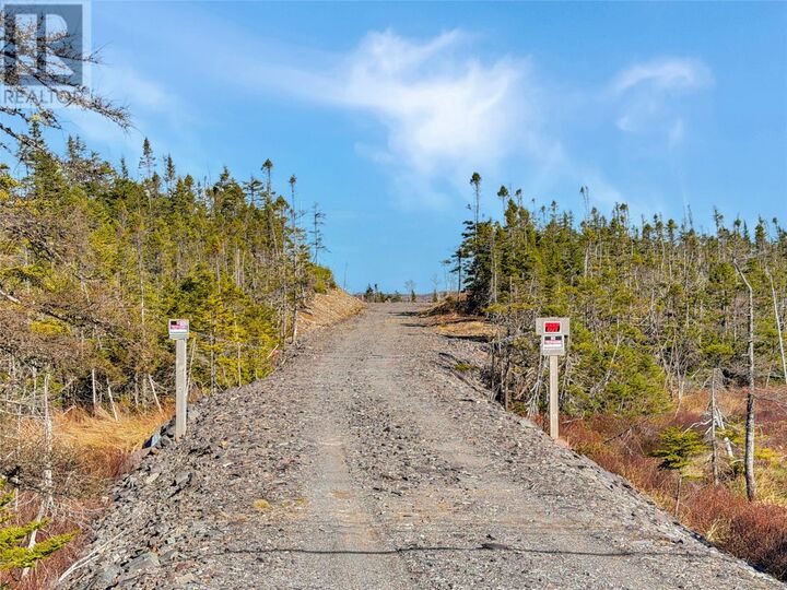 Property Photo:  556 Salmonier Line  NL A0A 2R0 