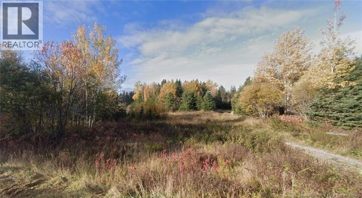Property Photo:  Lot Laurenzo Huard Street  NB E8B 1Y6 