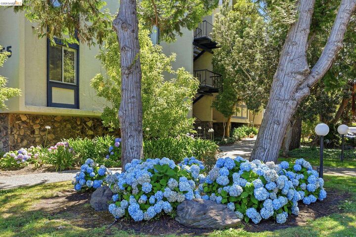 Property Photo: 955 Shorepoint Ct 208 CA 94501