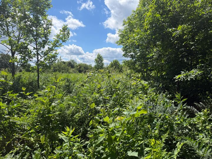 Property Photo:  Settlement Drive  WV 25958 