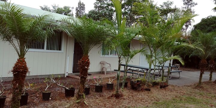 Property Photo:  15-1637 23rd Ave  HI 96749 