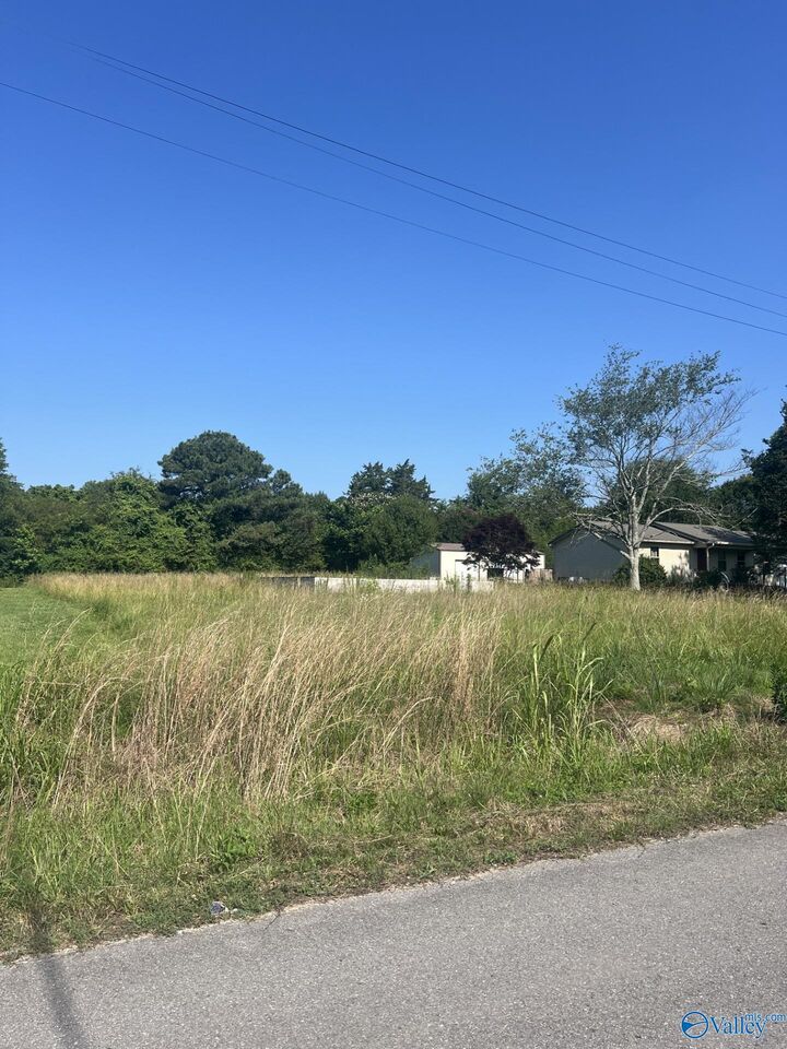 Property Photo:  Lot 9 County Road 1840  AL 35016 