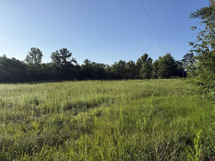 Property Photo: Tbd Vaughn LA 70634