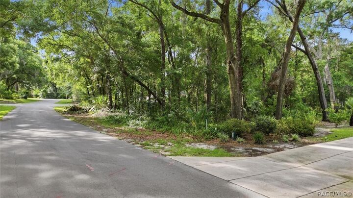 Property Photo: Lot 3 SW 93rd Loop FL 34432