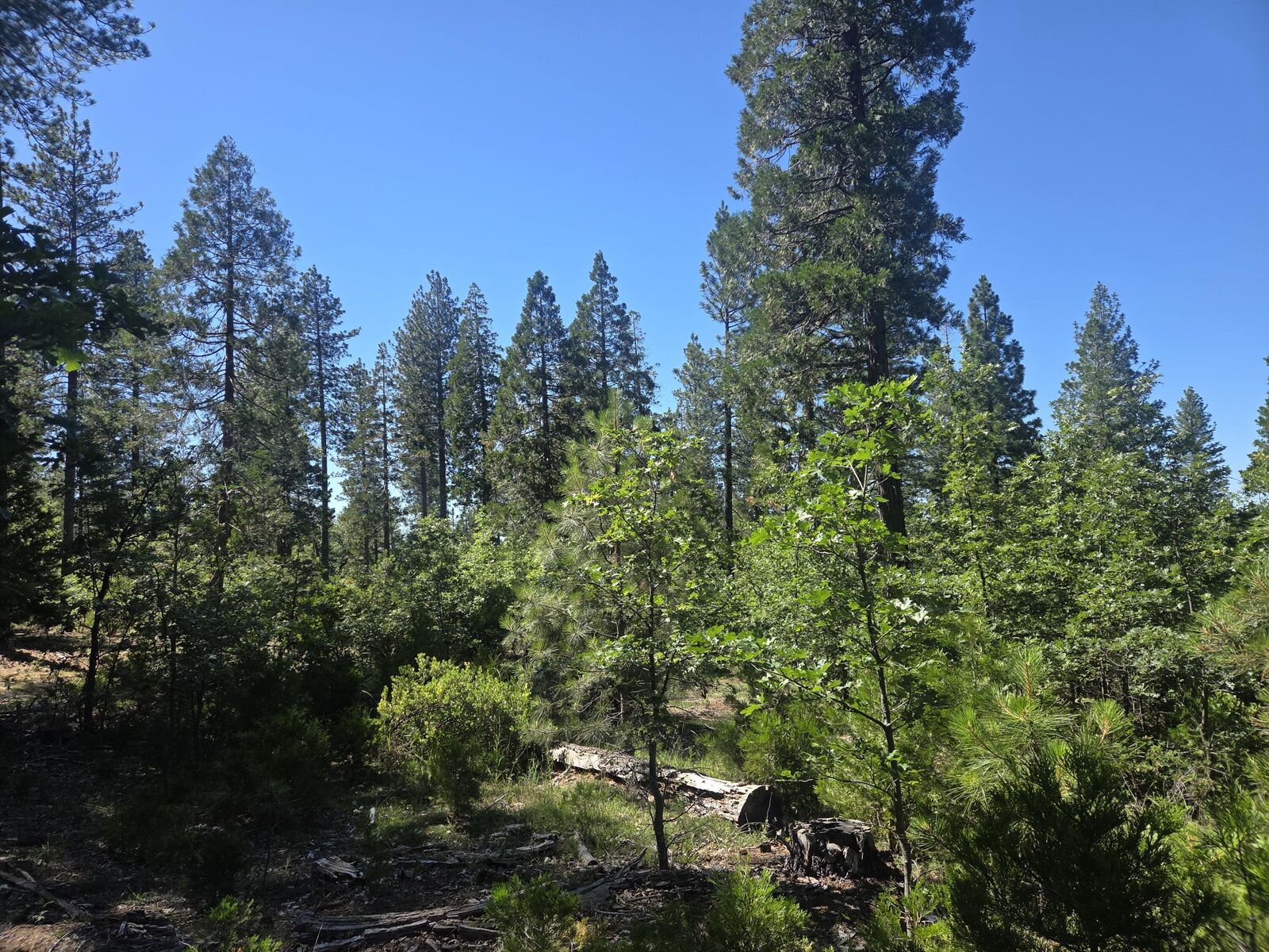Property Photo:  Lot 5 Waterleaf Lane  CA 96088 