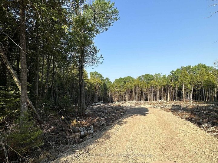 42 Trillium Crossing N/A — photo 1