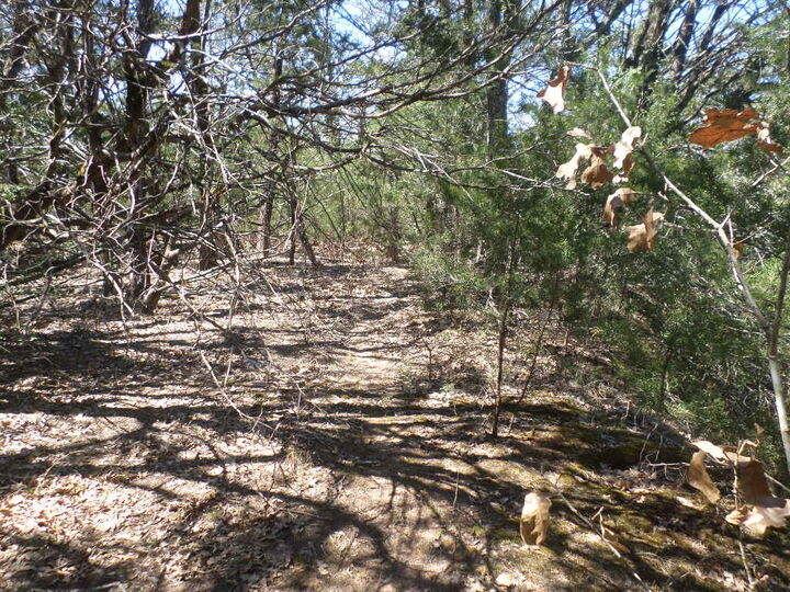 Property Photo: 273 Unit H Walter Hoffman Road TX 78612