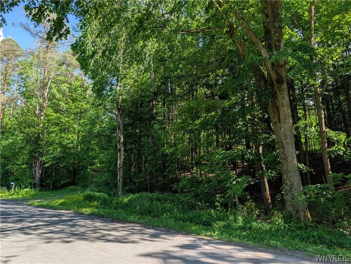 Property Photo: 5499 Bryant Hill Road NY 14731