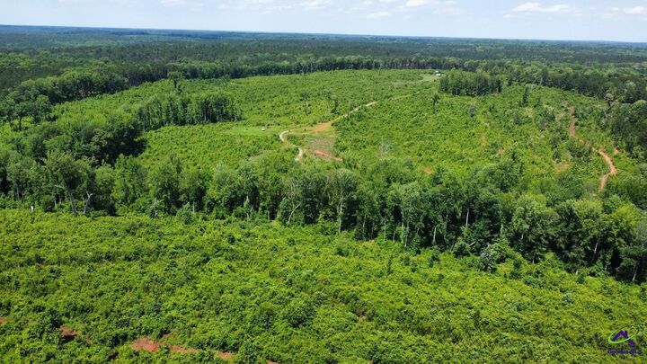 Property Photo:  Sugar Hill Rd  GA 31064 