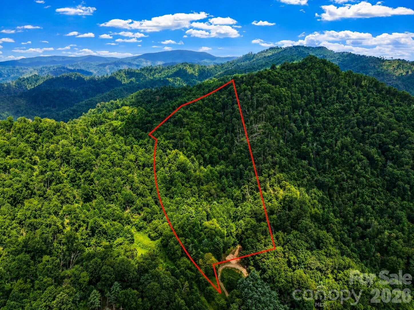 Property Photo:  000-000 Bee Branch Road 14ac  NC 28705 