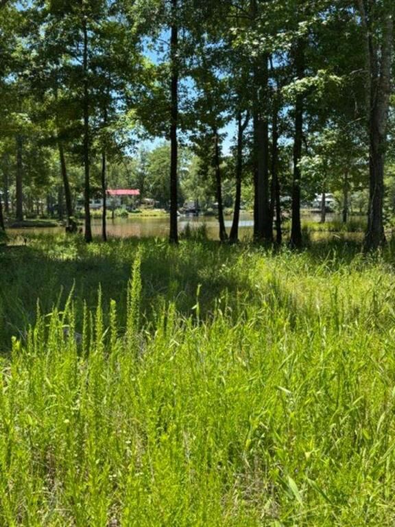 Property Photo: Lot 5 Nickles Cove AL 35959