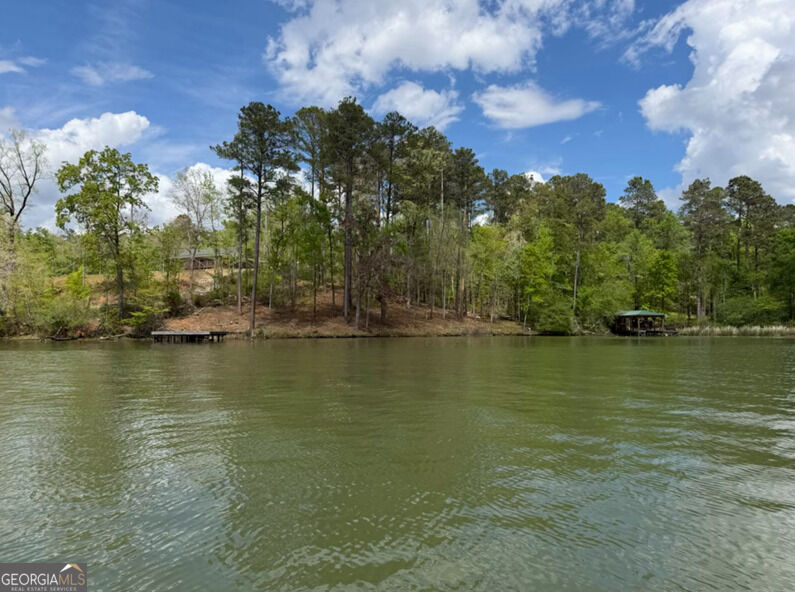 Property Photo: 23 Post Oak Ridge GA 31087