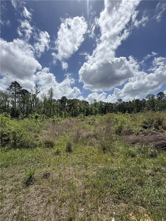 Property Photo: Tbd Newsome Road LA 71360