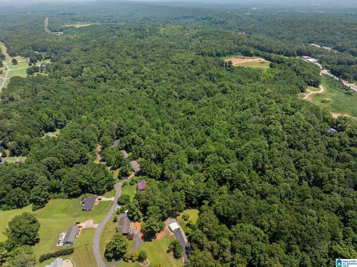 Property Photo: 0 Sunshine Avenue N/A AL 35121