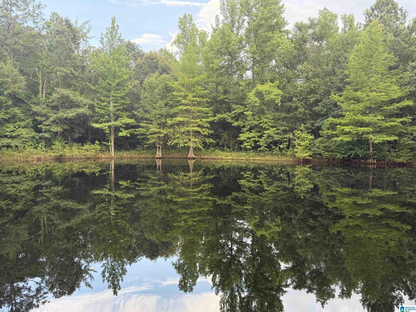 Property Photo:  299 County Road 443  AL 36091 