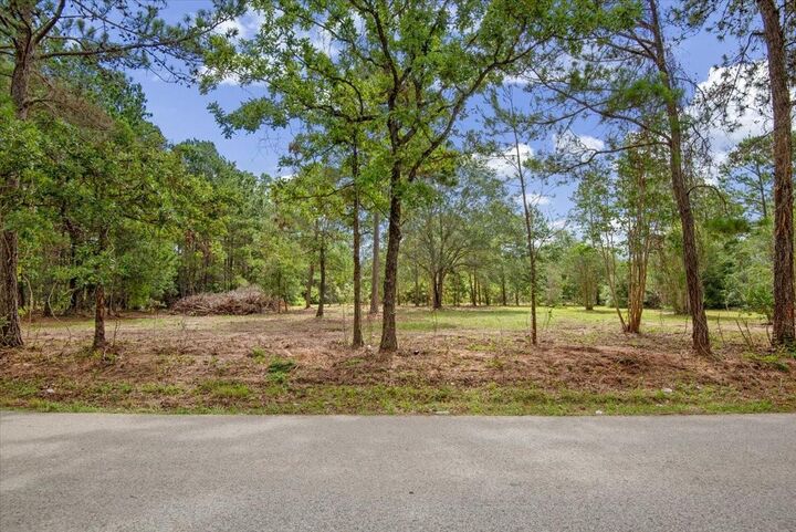 Property Photo:  Tbd Lot 1 County Road 302  TX 77363 
