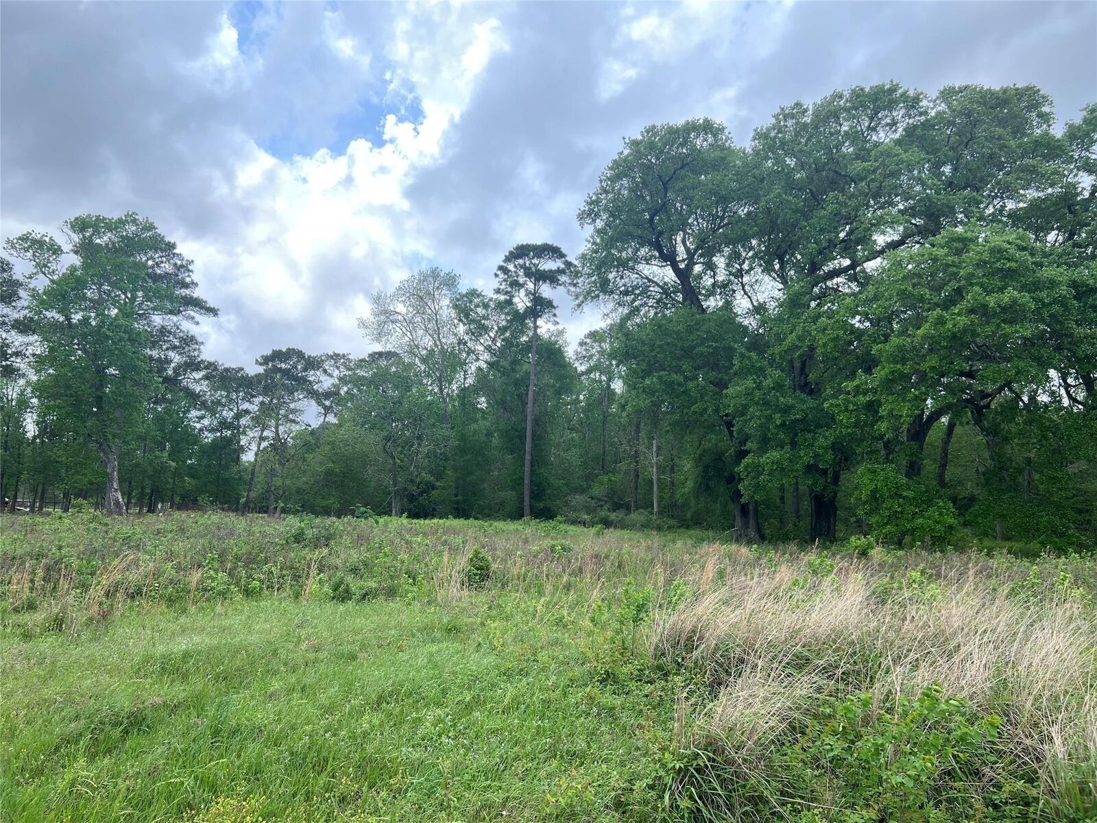 Property Photo: 000 N Mlk Drive TX 77575