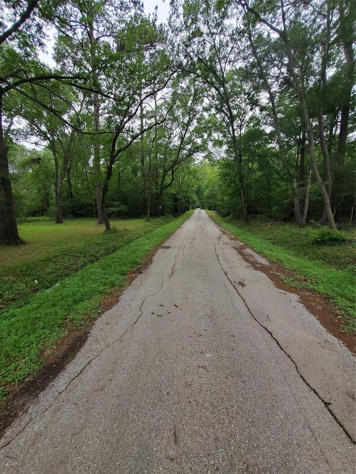 Property Photo: 246 Countyroad 3990 TX 77328