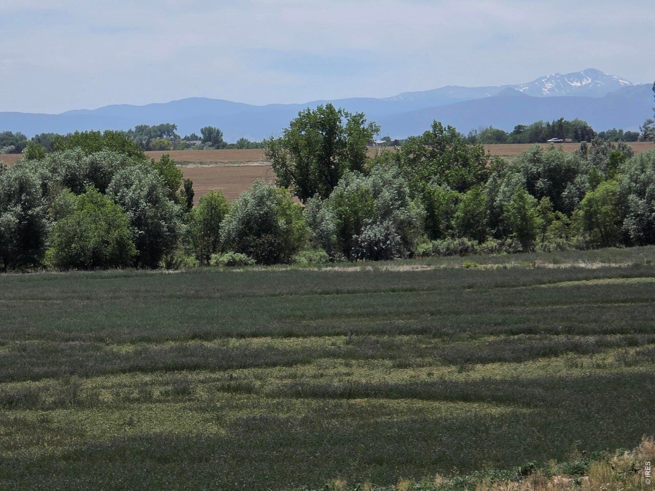 Property Photo:  20219 County Road 3  CO 80513 