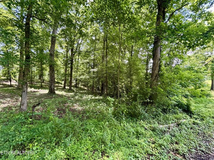 Property Photo: 0 Rolling Acres Drive TN 37854