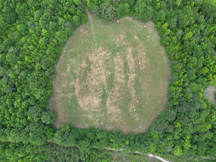 Property Photo:  503 Hopewell Cemetery Road  AL 36042 