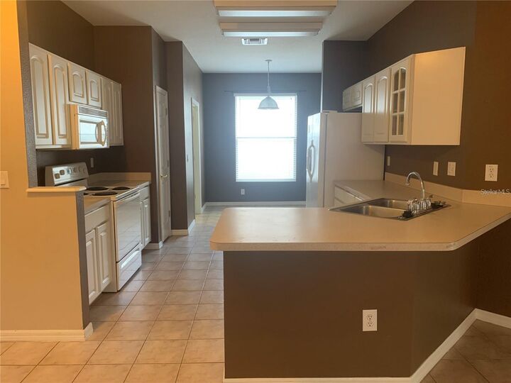 Property Photo:  19132 Wood Sage Drive  FL 33647 