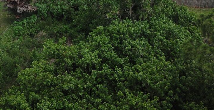 Property Photo: 1743 SE Manth Lane FL 34983