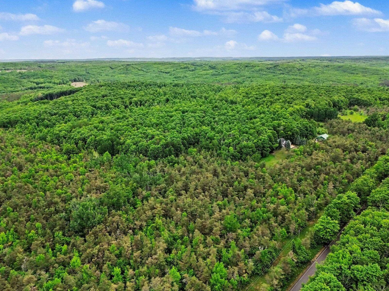 Property Photo: Vl Robinson Road MI 49740