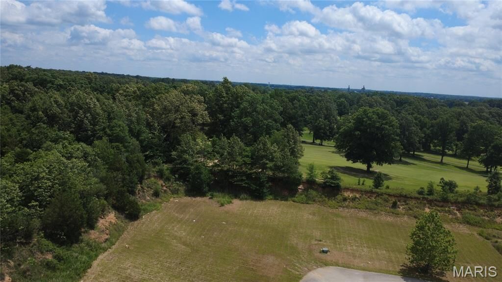 Property Photo: 00 Palm Tree Drive MO 63901