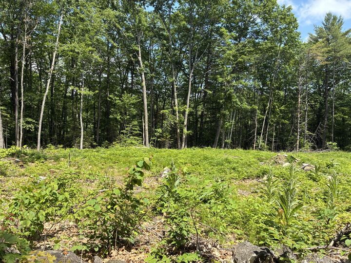 Property Photo:  Map7lot40 Round The Pond Road  ME 04268 