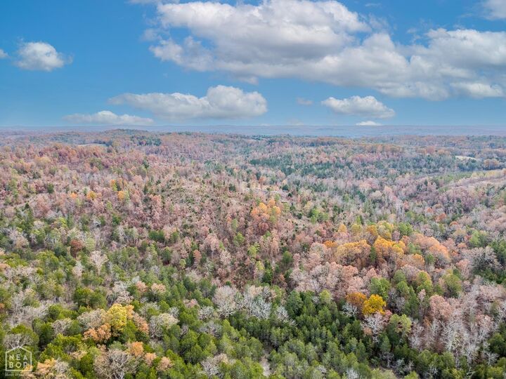 Property Photo: 0 Kerley Point Cove Road AR 72531