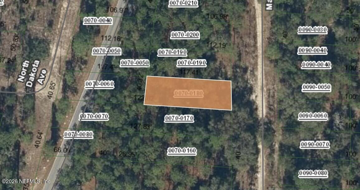 Property Photo: 0 Madison Avenue FL 32640
