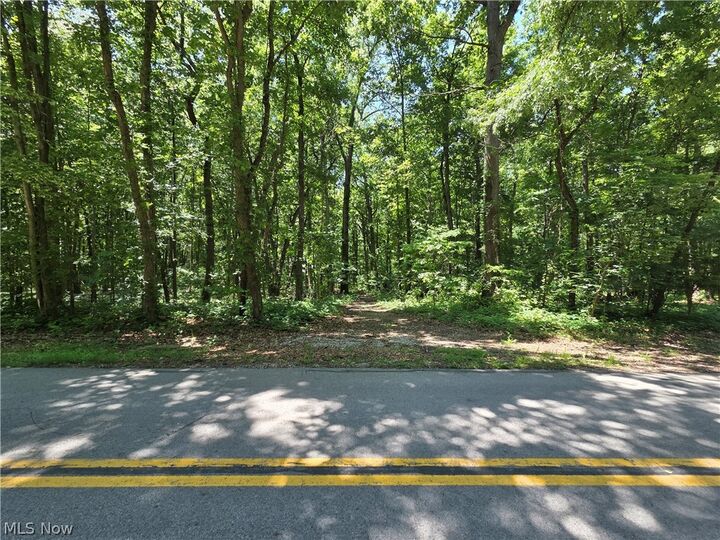 Property Photo:  V/L - Poorman Road  OH 44089 