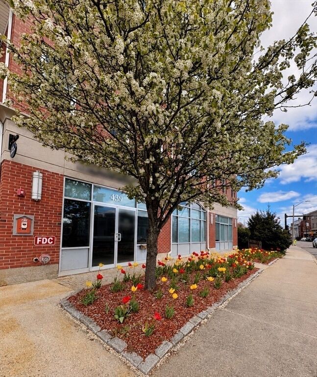 Property Photo:  441 Washington St 203  MA 02026 