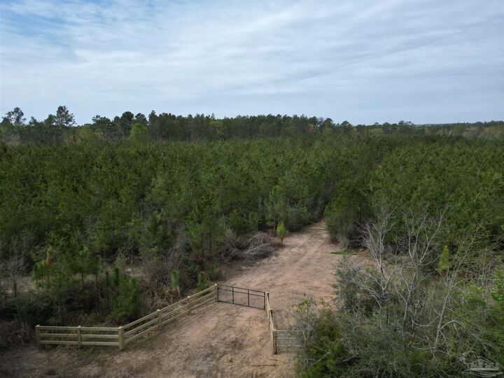 Property Photo:  1000 Blk Hwy 97  FL 32577 