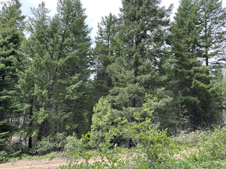 Property Photo:  Forest Glen  WA 98620 