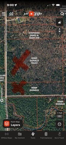 Property Photo: 000 S Queens Highway MI 49623