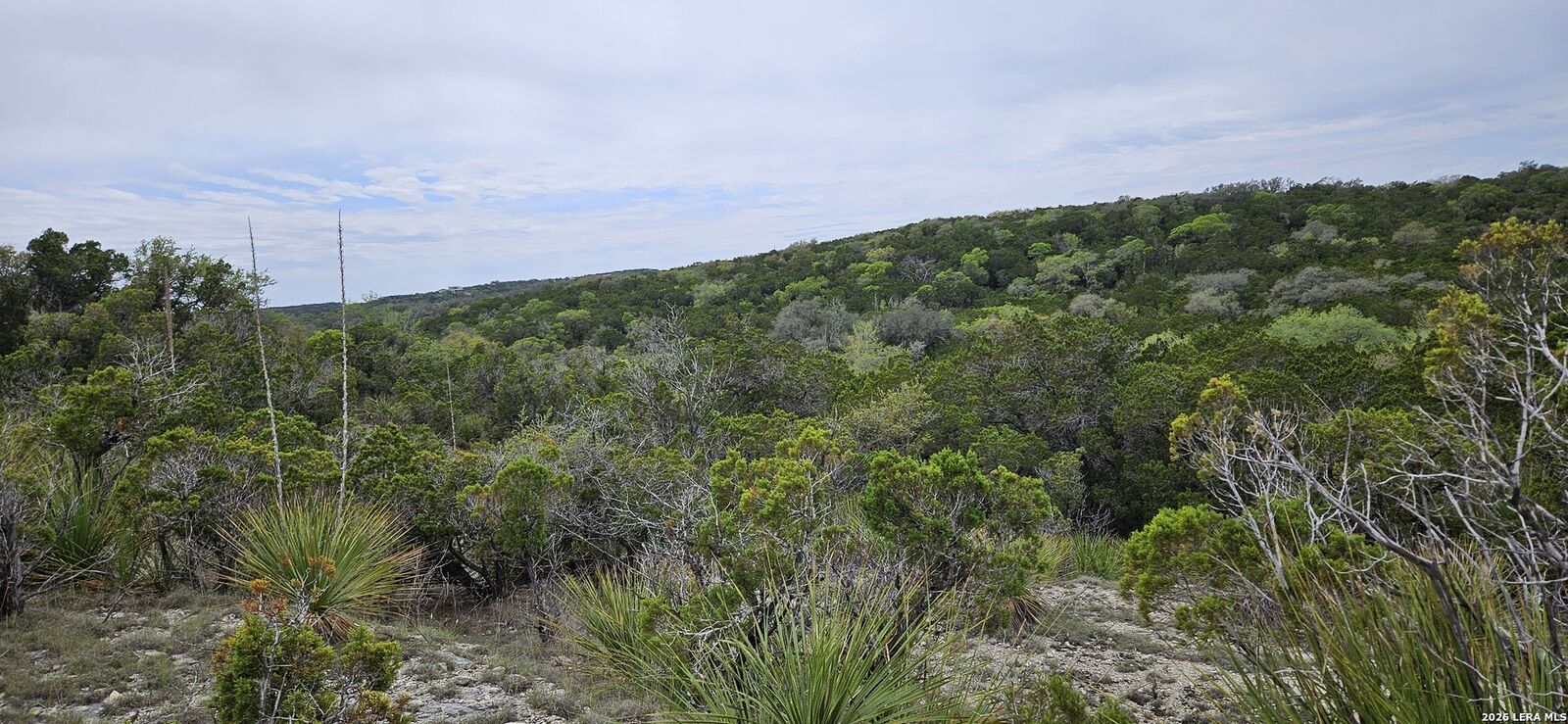 Property Photo: 21207 Scenic Loop TX 78023