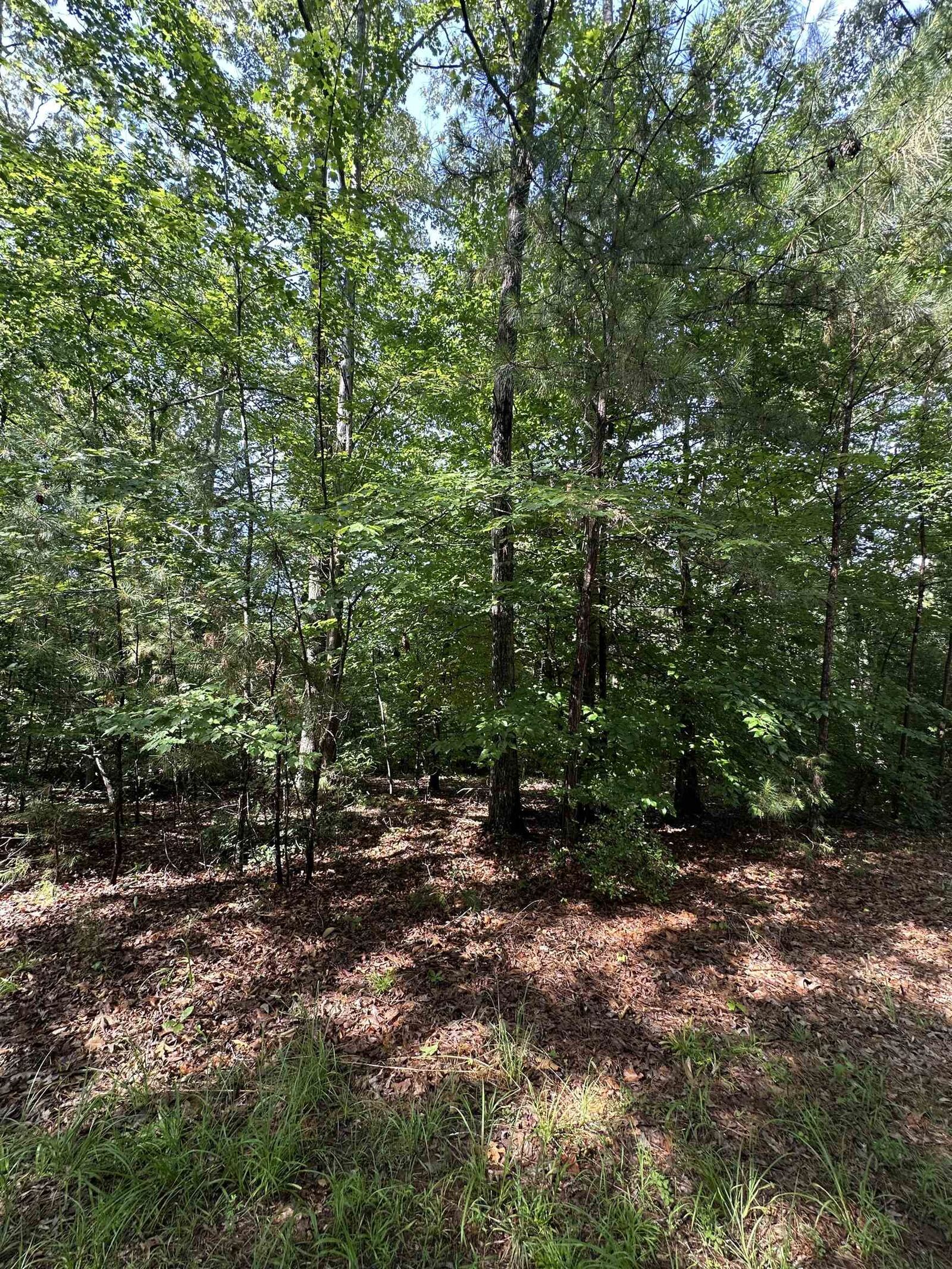 Property Photo:  Old Buncombe Road ***  SC 29379 