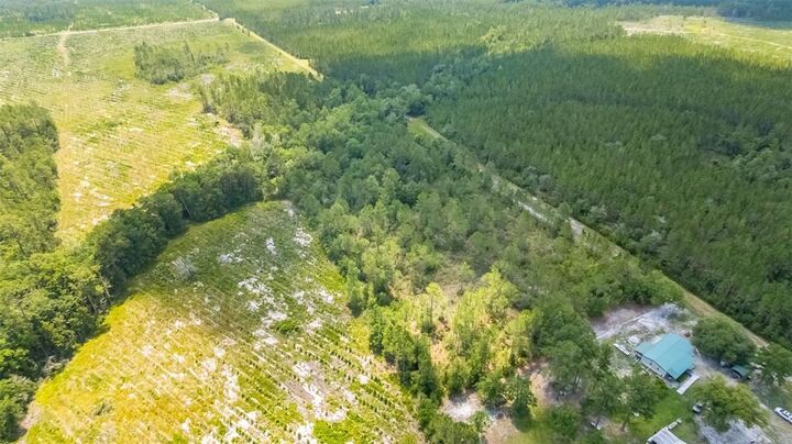 Property Photo: 0 Bell Road FL 32046