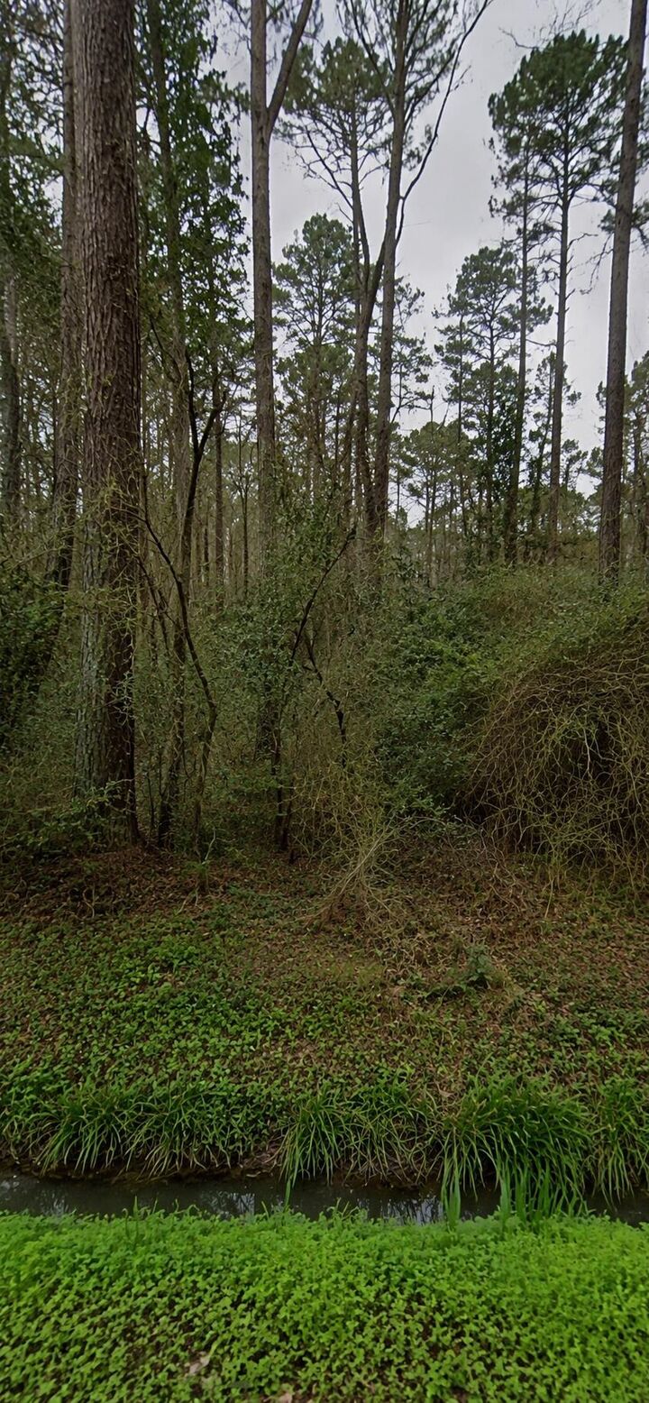 Property Photo: Tbd Sing Ave. SC 29527