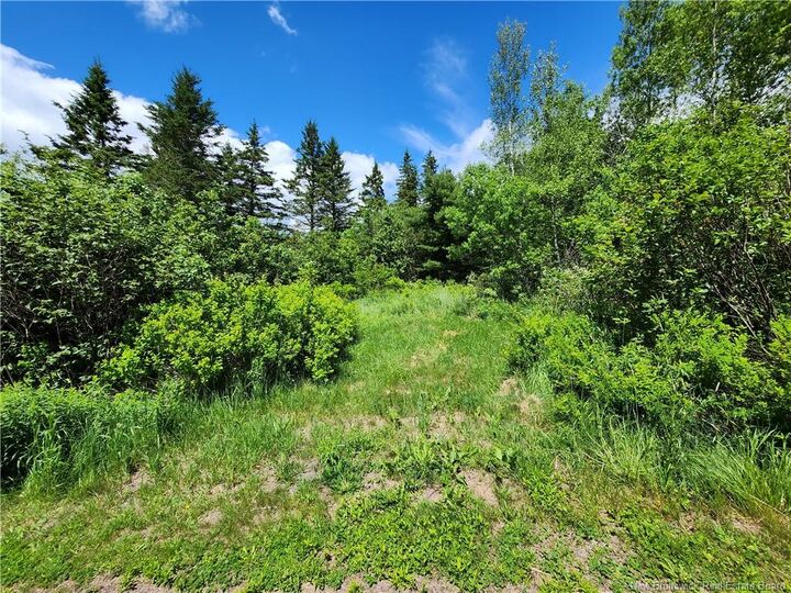 Property Photo:  Lot Old Albert Mines  NB E4H 1S1 