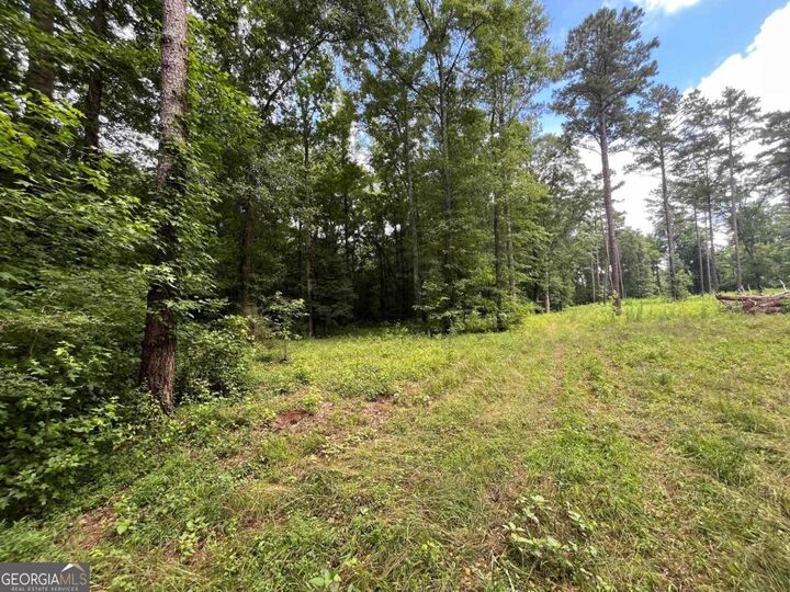 Property Photo:  20 +/- Ac Crooked Creek Road  GA 31024 