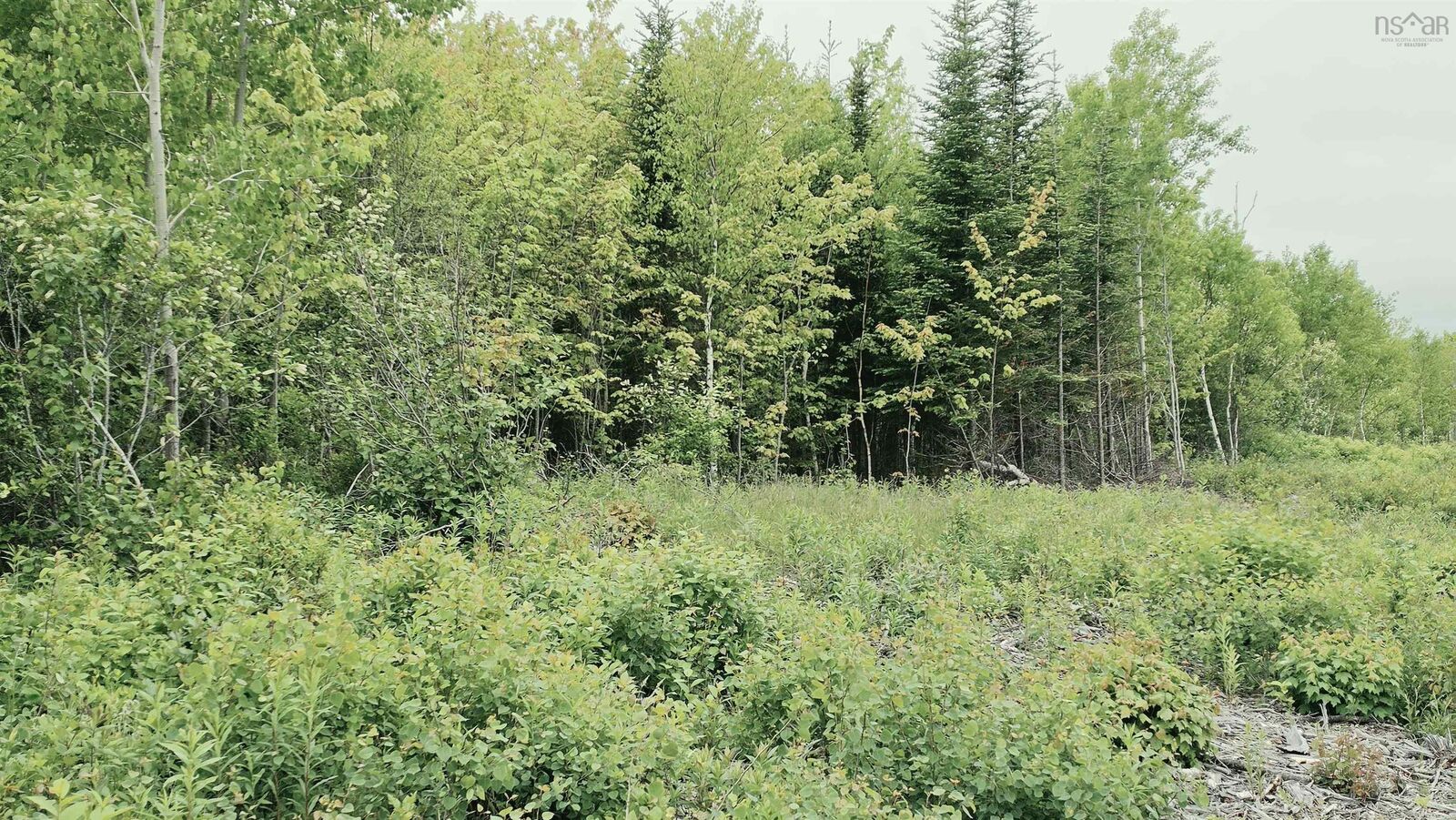Property Photo:  Lot Linwood Harbour Rd East Tracadie, Ns  NS B0H 1M0 