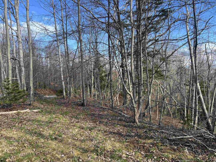 Property Photo:  Lot 2-1-B Seaview Cemetary Road  NS B0K 1H0 