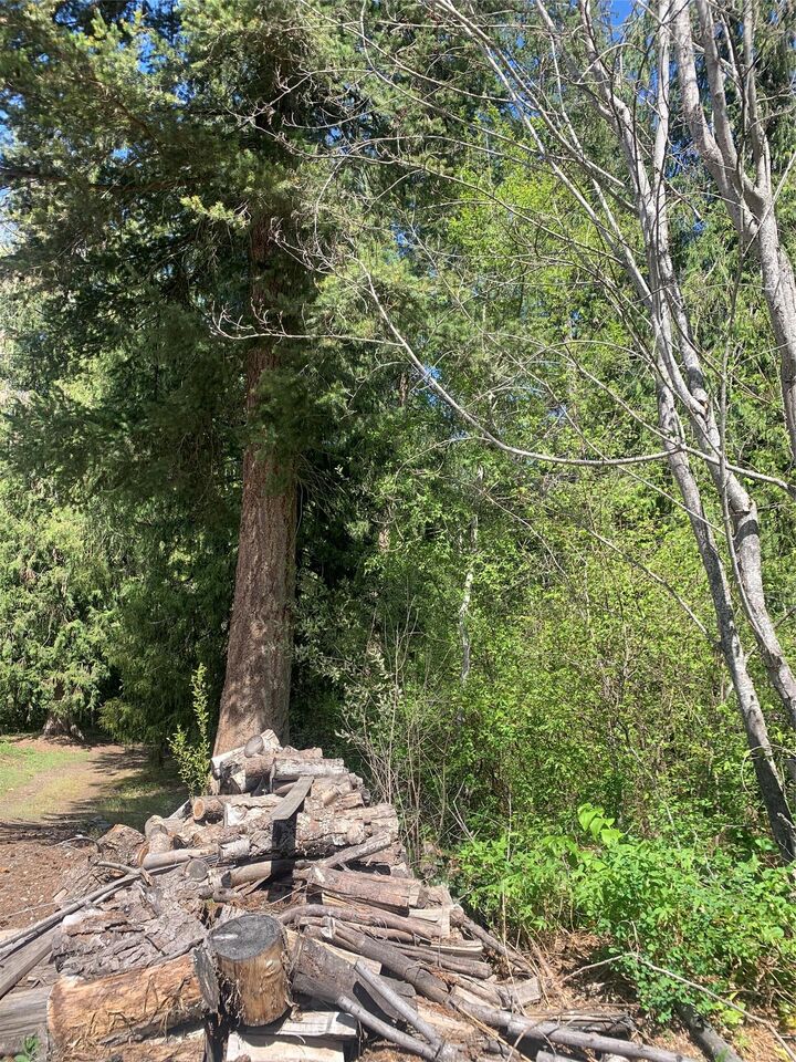 Property Photo: Lot A Squilax-Anglemont Road BC V0E 1M4