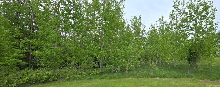 Lot Gaul Road — photo 1