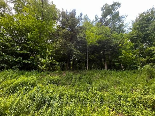 Property Photo:  8840 9 County Road  ON L0M 1G0 