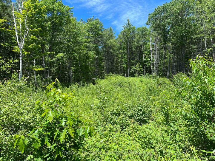 Property Photo:  695 Long Lake Road  ON K0J 1B0 